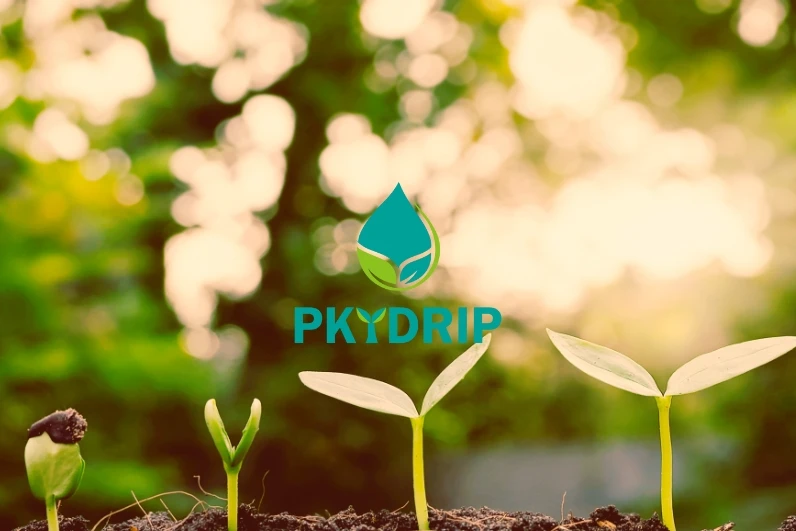 PKYDRIP Company Logo