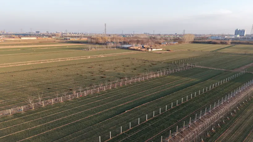 Farm irrigation system planning scene