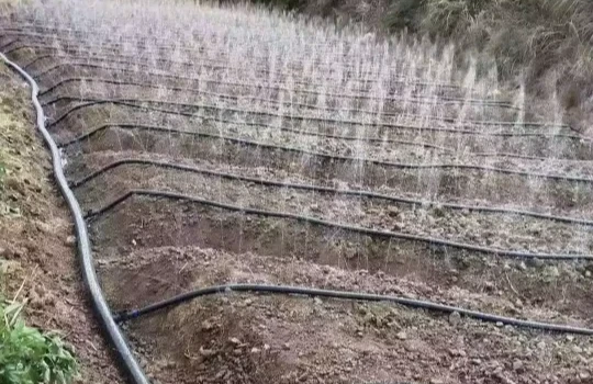 Rain Pipe Irrigation Solution for 4 Hectares of Corn Field