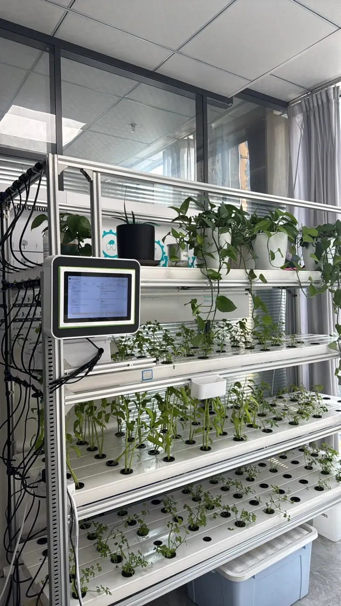 pkydrip climate controller with Android HMI mounted on a commercial growing system